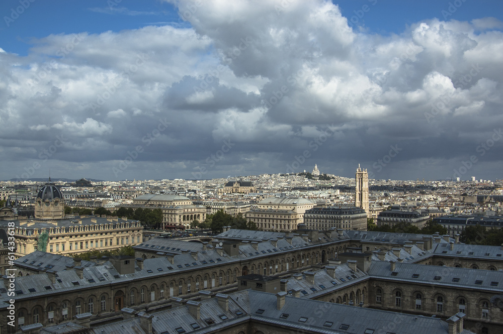 Skyline of Paris from Notre Dame at a summer day