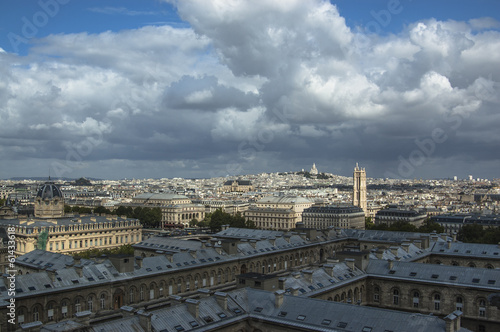 Skyline of Paris from Notre Dame at a summer day © stefaniarossit