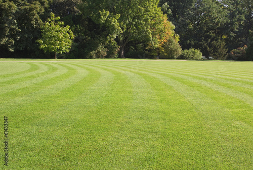 green, striped lawn in the park photo