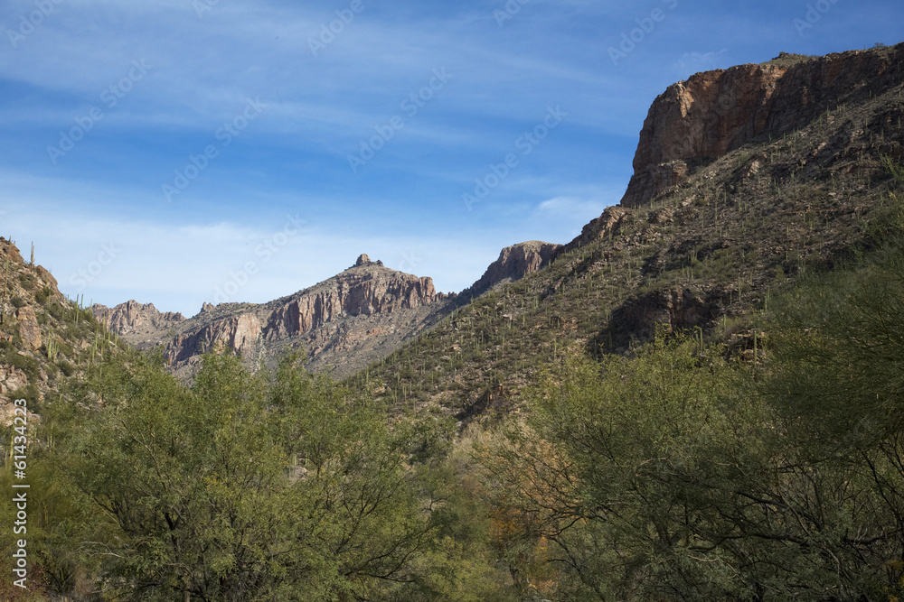 Tucson's Sabino Canyon