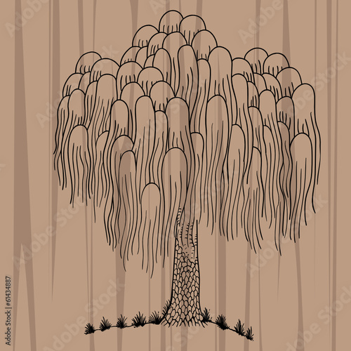 Tibetan tree