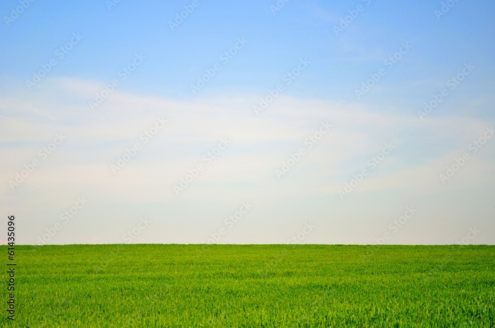 Green field and blue sky landscape for background