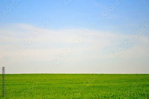 Green field and blue sky landscape for background