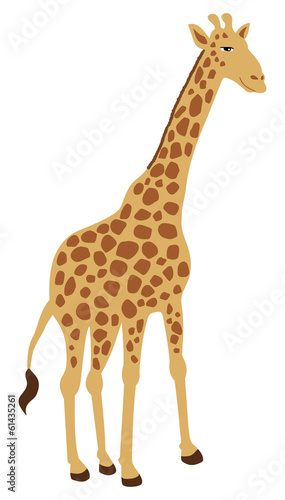giraffe standing alone