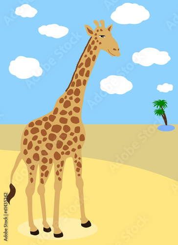 giraffe in the desert