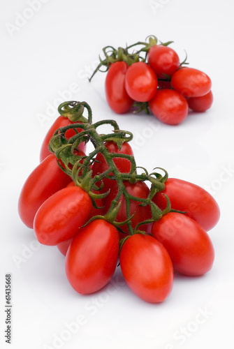 Cherry Tomato on white background