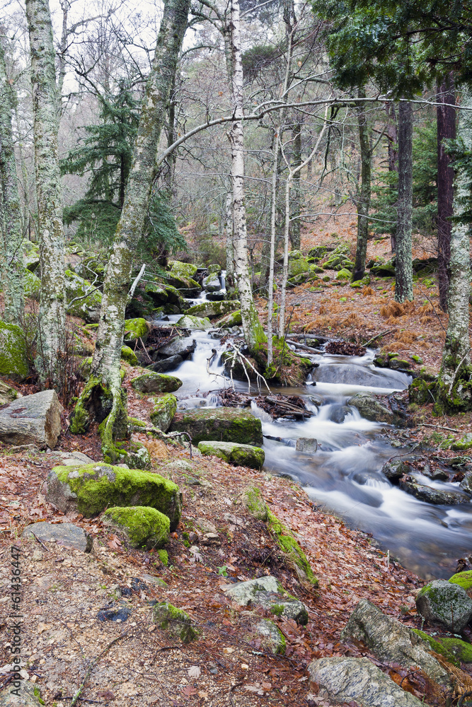 Arroyo del Sestil en la Sierra de la Morcuera Arroyo del Sestil en la Sierra de la Morcuera