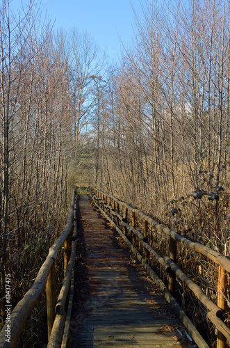 Wooden pier