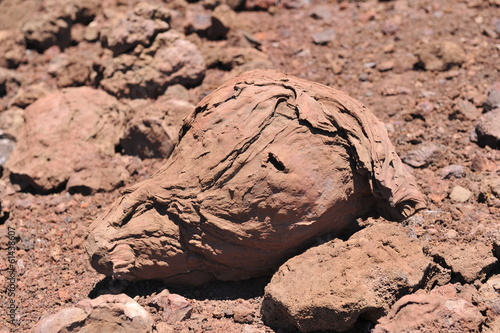 Volcanic bomb on the Big Island of Hawaii. 40cm across. photo