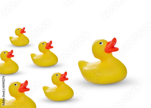 yellow rubber duck and ducklings isolated on white