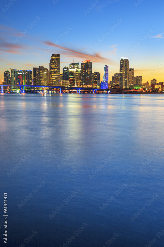 Obraz premium Miami, weterynarz