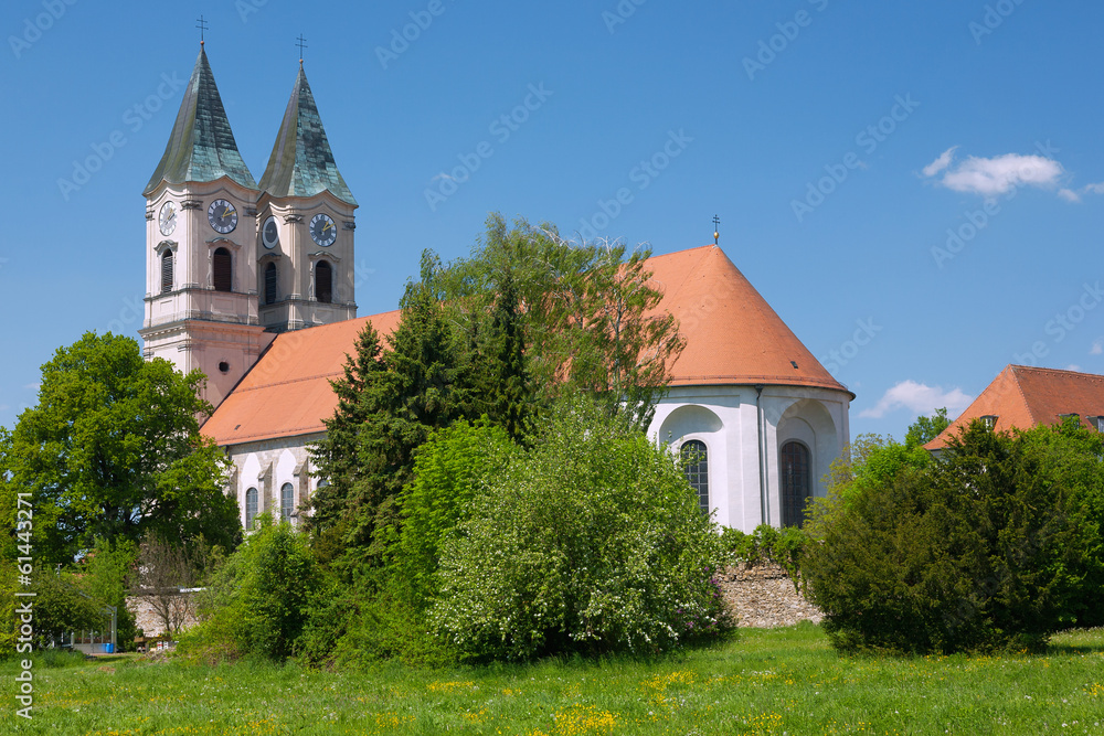Niederalteich, Kloster, Basilika, Blumenwiese, Klostermauern