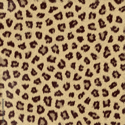 Texture di Leopardo  gheopardo  fondo astratto