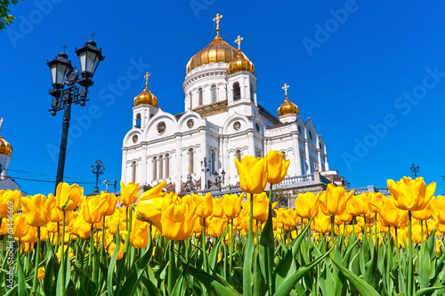 Christ Saviour Cathedral