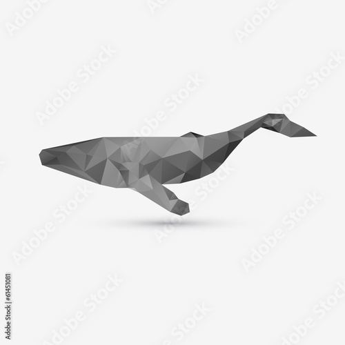 Vector abstract whale illustration