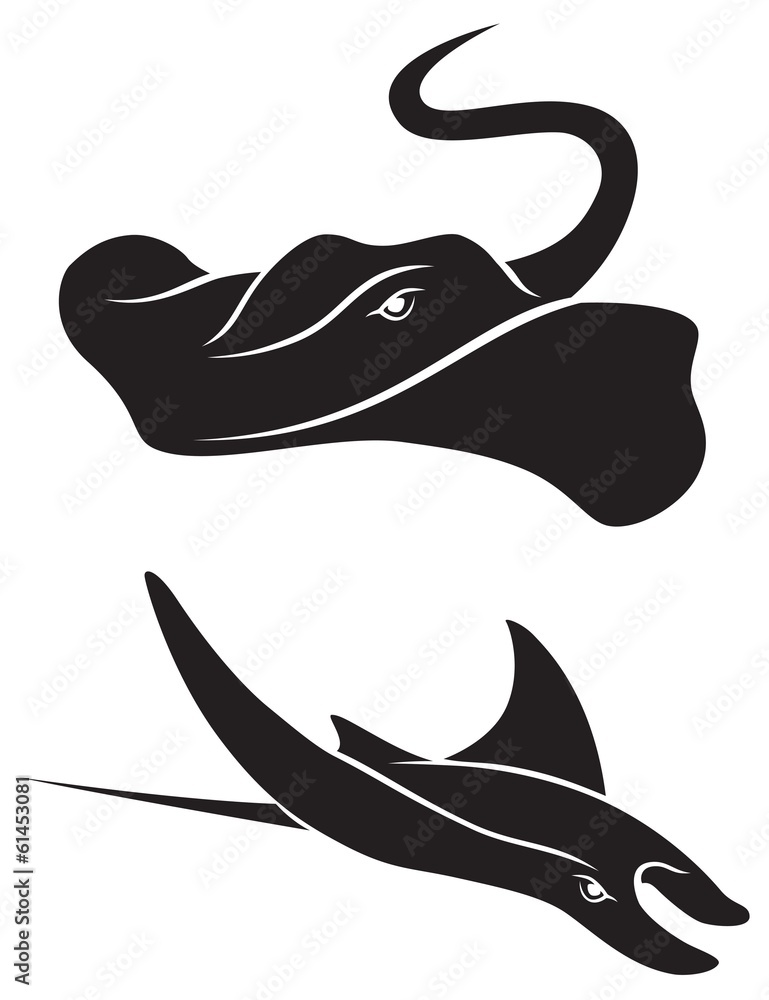 Naklejka premium stingray