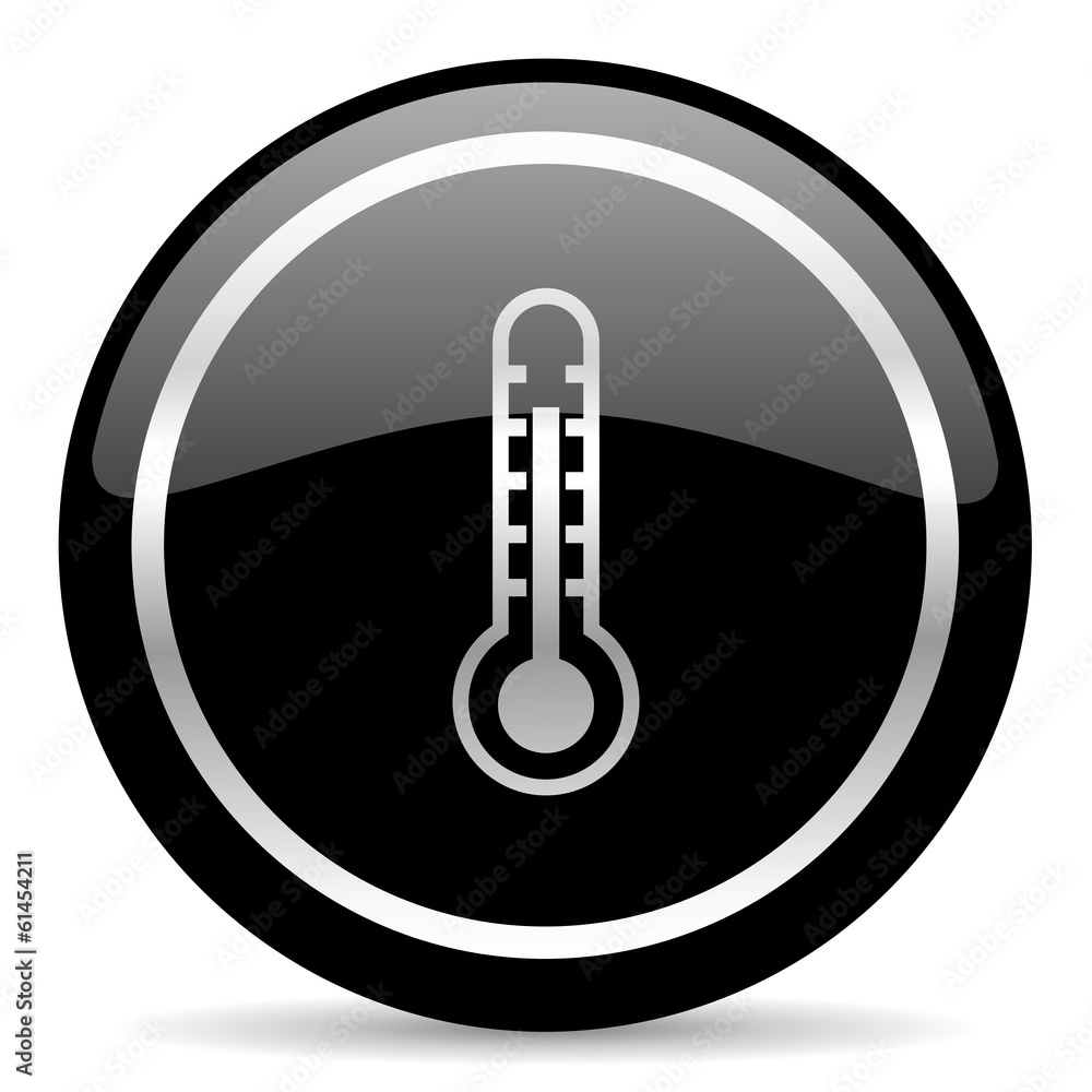 thermometer icon thermometer icon