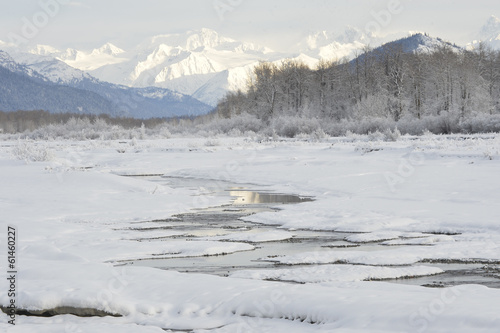 Chilkat River.