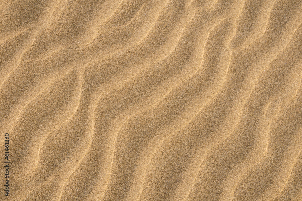 Naklejka premium Sand Dune Desert Texture