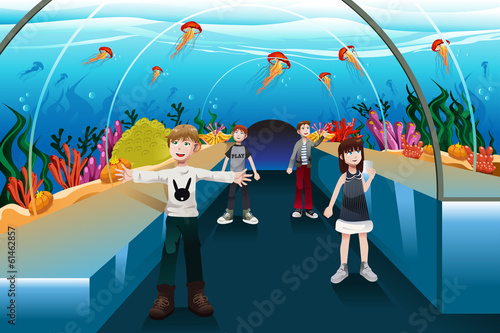 Kids looking at jellyfish