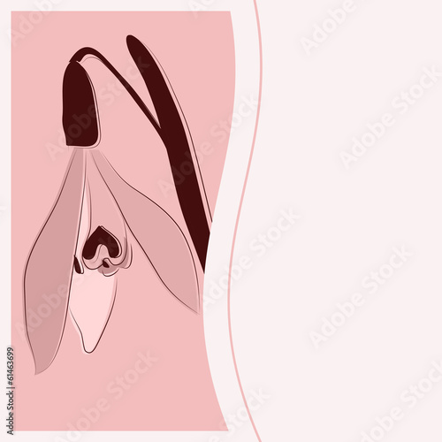greeting card flower on the pink background?