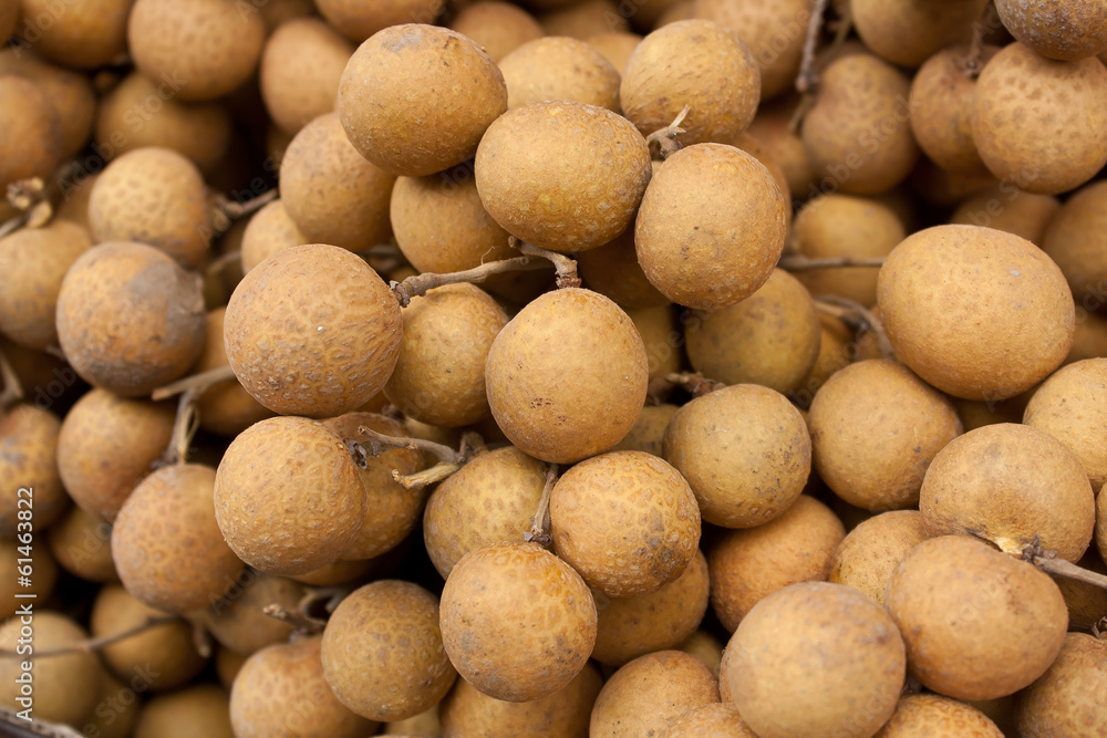 Longan Longan