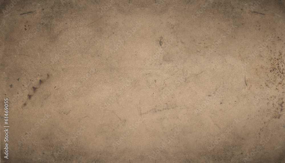 Fototapeta premium Texture, old plywood