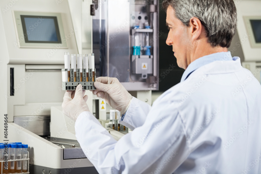 Scientist Examining Urine Samples In Lab Scientist Examining Urine Samples In Lab