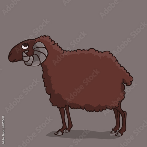 Sheep brown