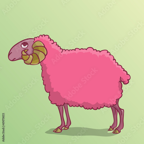 Sheep pink