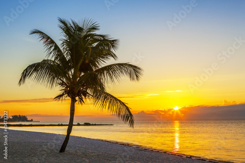 Beach with palm tree at sunset