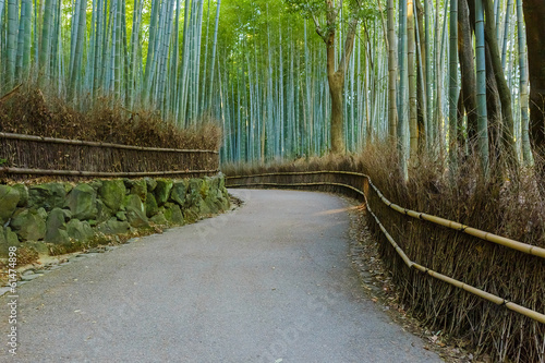 Fototapeta Naklejka Na Ścianę i Meble -  Chikurin-no-Michi (Bamboo Grove) at Arashiyama in Kyoto