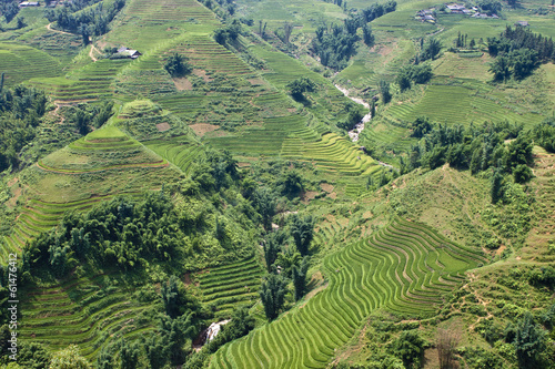 Paddy fields and village houses in a valley in northern Vietnam