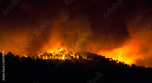 incendio forestal de noche photo