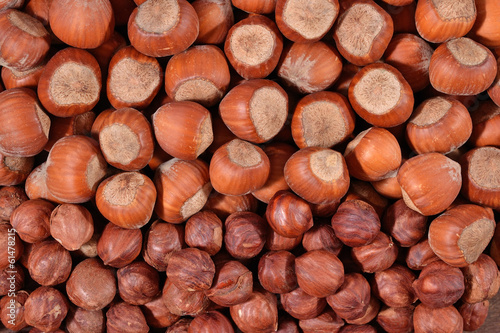 Heap of hazelnuts