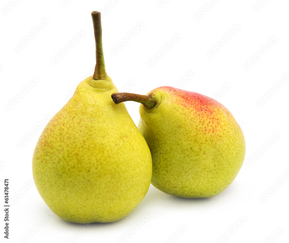 two pears isolated on white background two pears isolated on white background