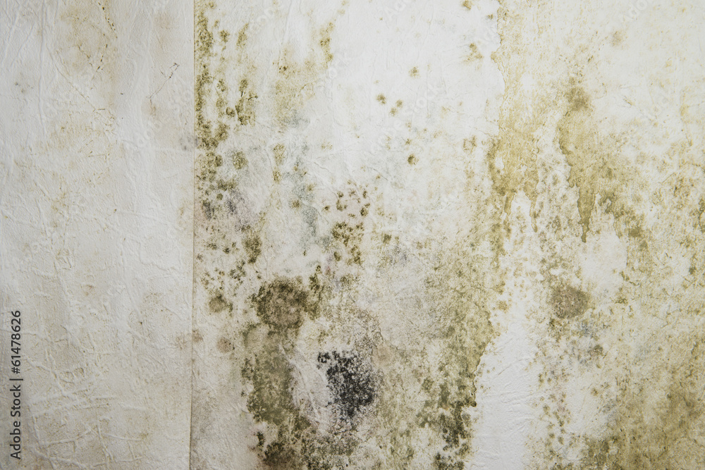 Naklejka premium Mildewed Walls
