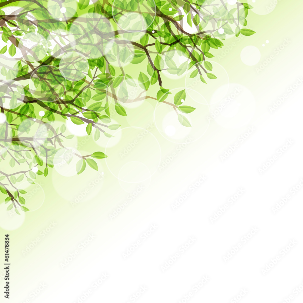 Fototapeta premium 光りと樹木