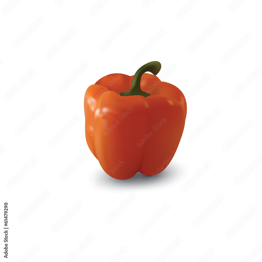 Pepper isolated on white background. Pepper isolated on white background.