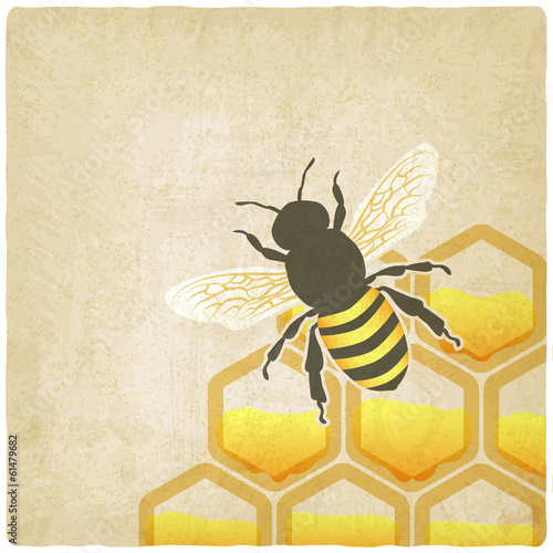 bee honeycomb old background