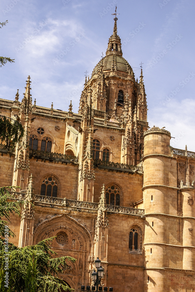 One of the towers of the New Cathedral of Salamanca, Spain, UNES