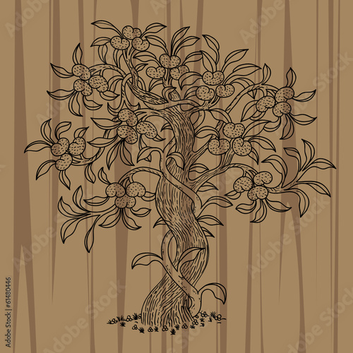 Tibetan tree, mandarin tree 