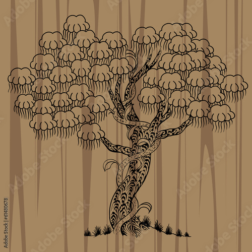 Bonsai vector outline. Asian traditional tree. Graphic tree