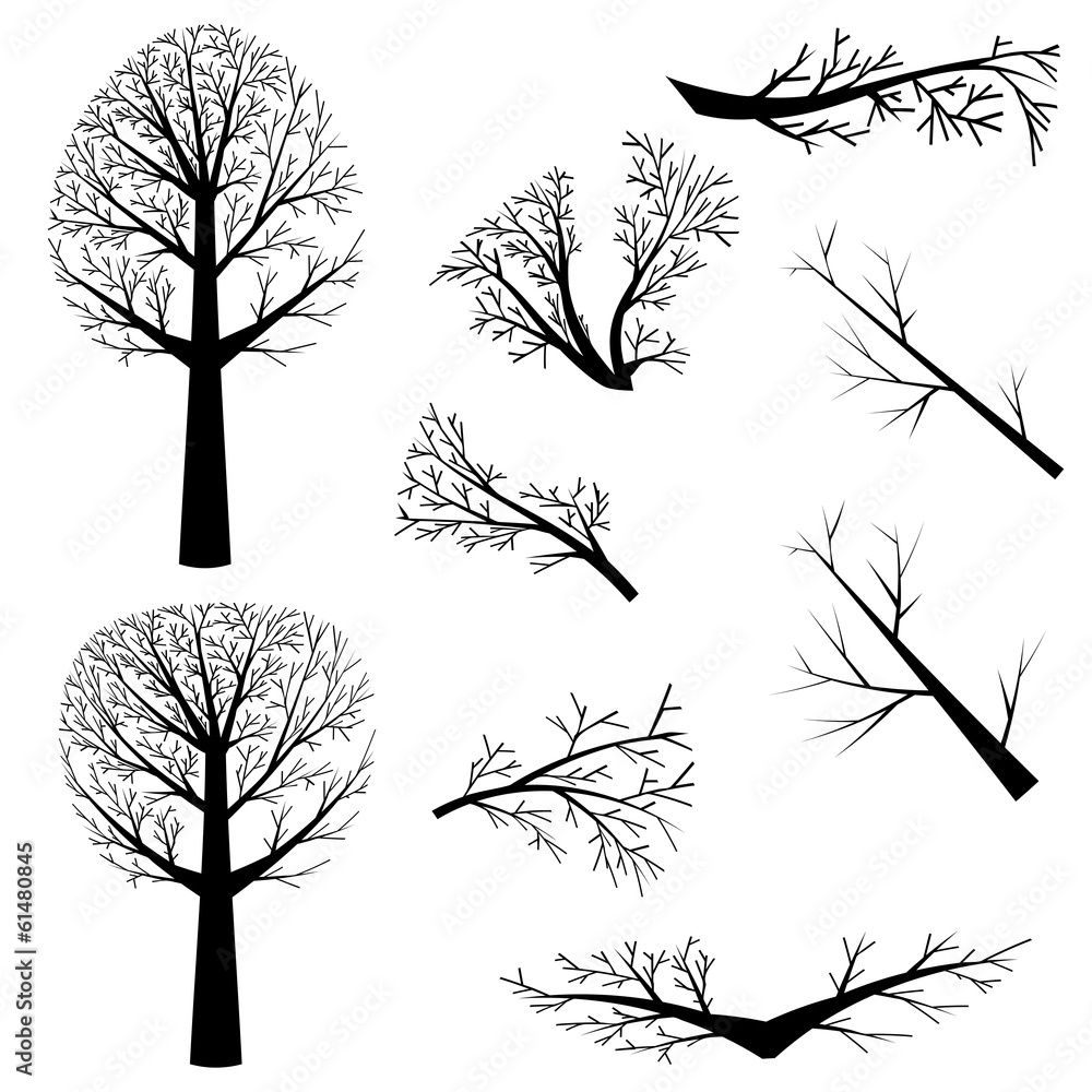 Obraz premium Bare trees silhouette