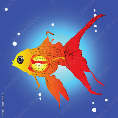 Goldfish on blue background