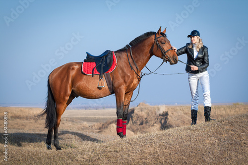 Horse and rider on the sky background
