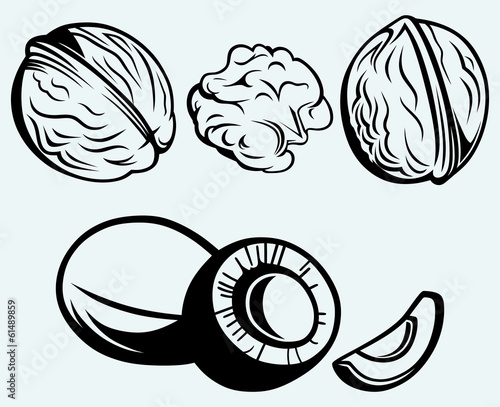 Coconut and walnut