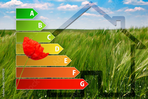 house energy efficiency rating poppy, house, green background photo