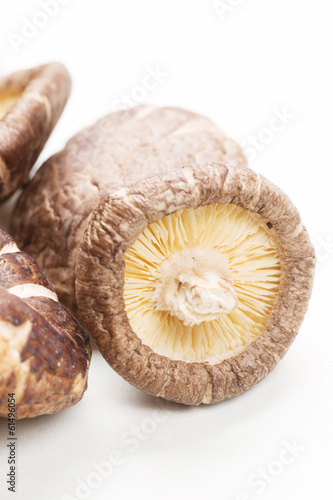 Shiitake Mushrooms