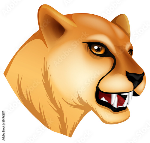 A head of a panther